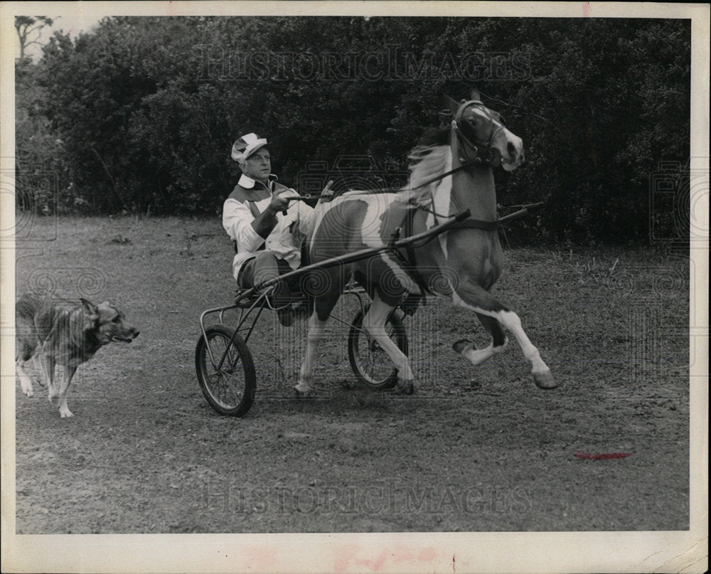 Press Photo Trotting Dog and Pony - Historic Images