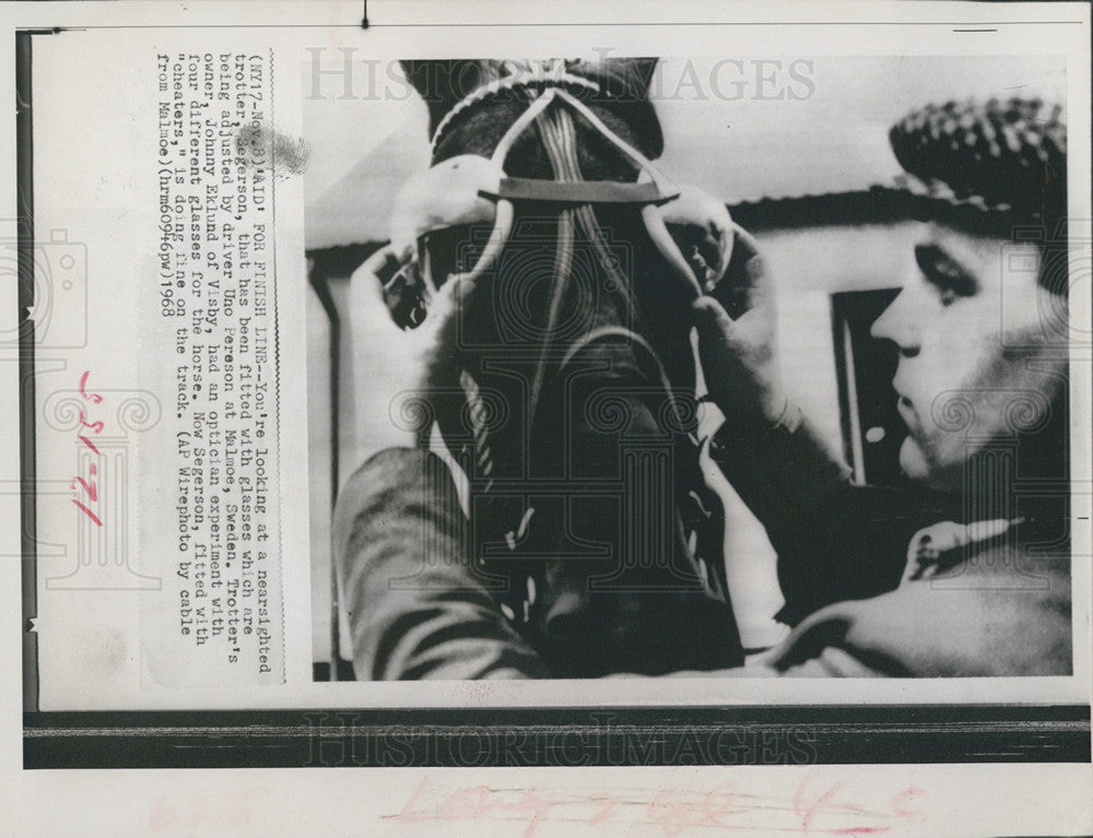 1968 Press Photo Uno Pereson Adjusts Horse&#39;s Glasses - Historic Images