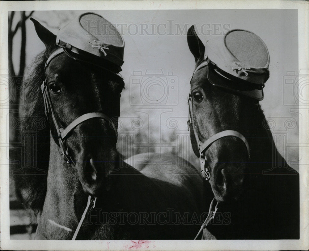 1964 Press Photo Shetland Racing Victor Comptometer - Historic Images