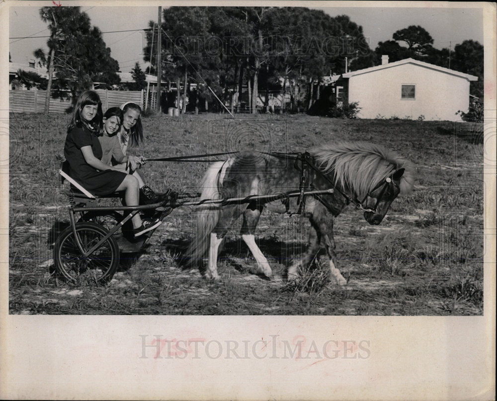 1967 Press Photo Girls Riding Pony Pulled Trailer - Historic Images