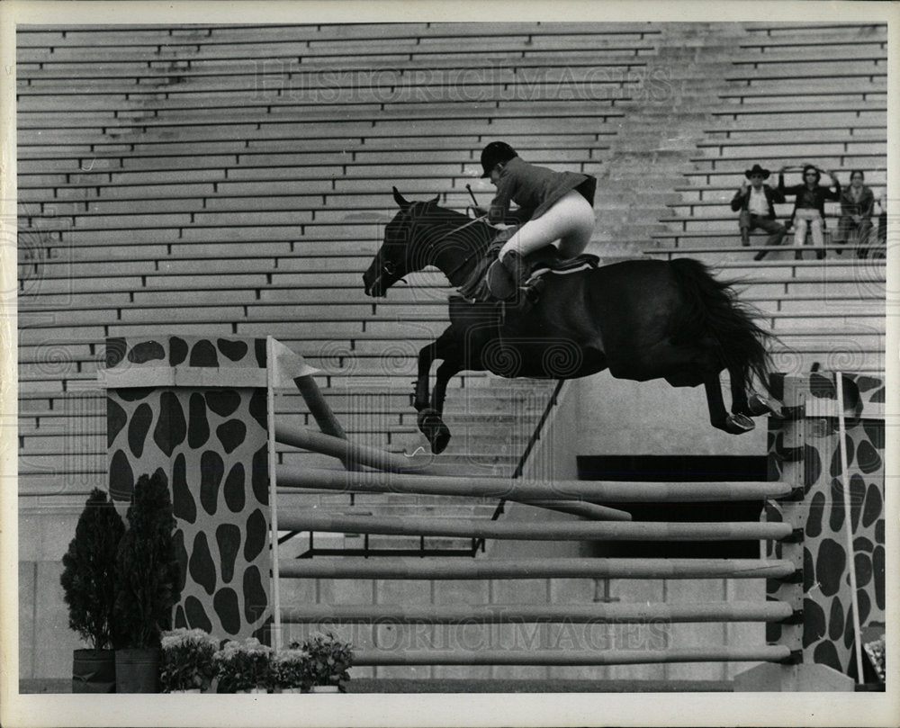 1972 Press Photo Horse Jumping Gold Cup Horse Show - Historic Images