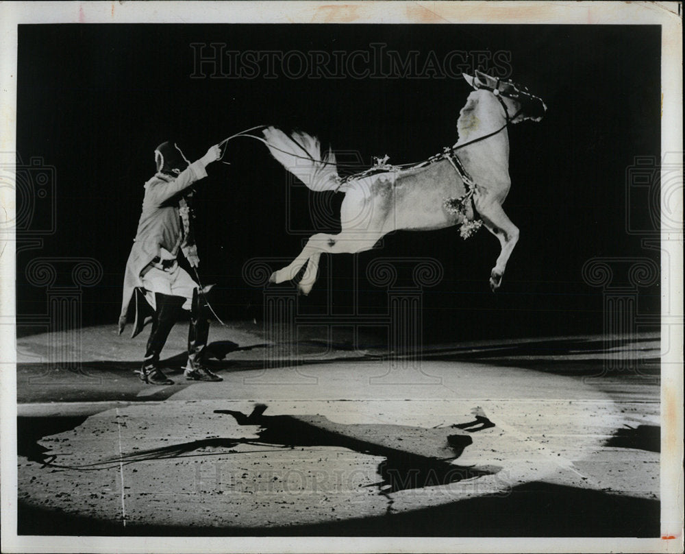 1975 Press Photo Royal Lipizzan Stallion Largo High Sch - Historic Images