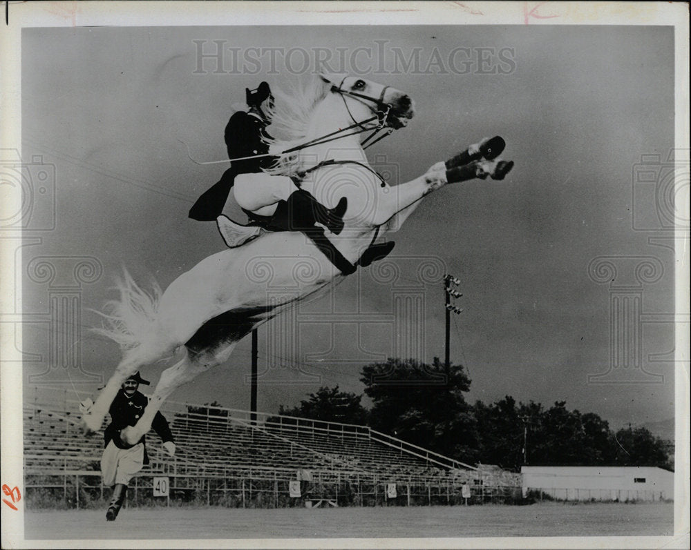 1975 Press Photo Lippizans Horse Packer Stadium Largo - Historic Images