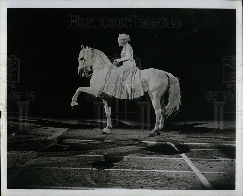 1974 Press Photo Royal Lippizzan Stallion Show - Historic Images