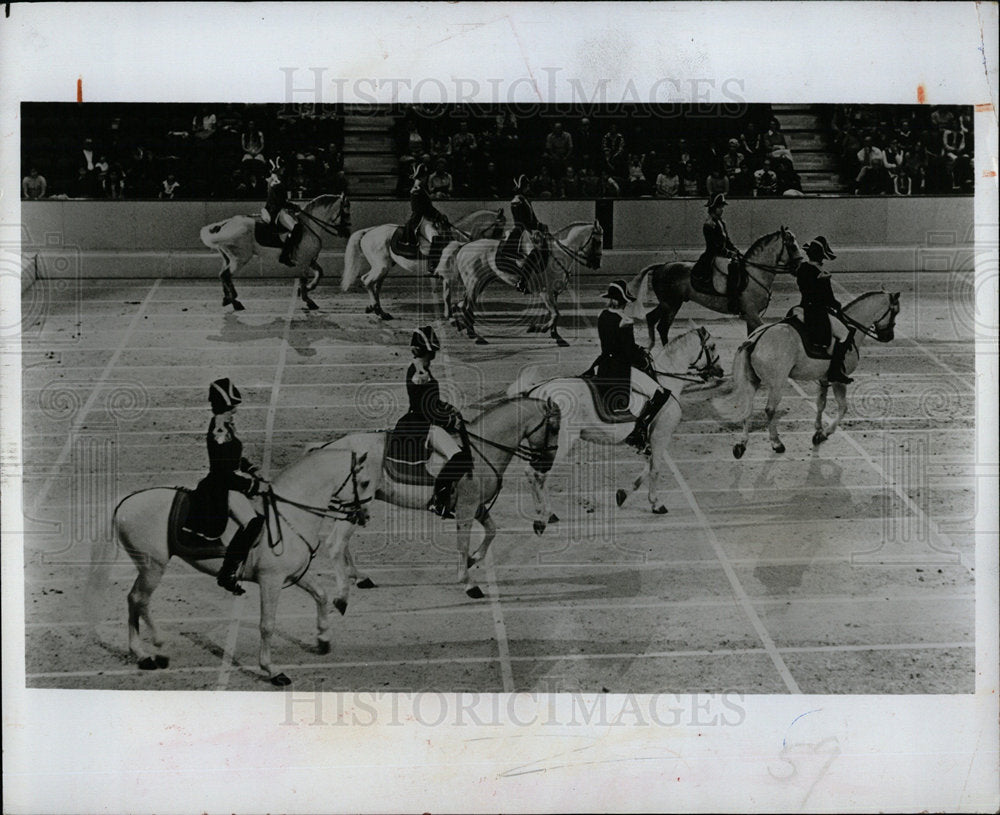 1981 Press Photo Stallions Perform Grand Quadrille - Historic Images