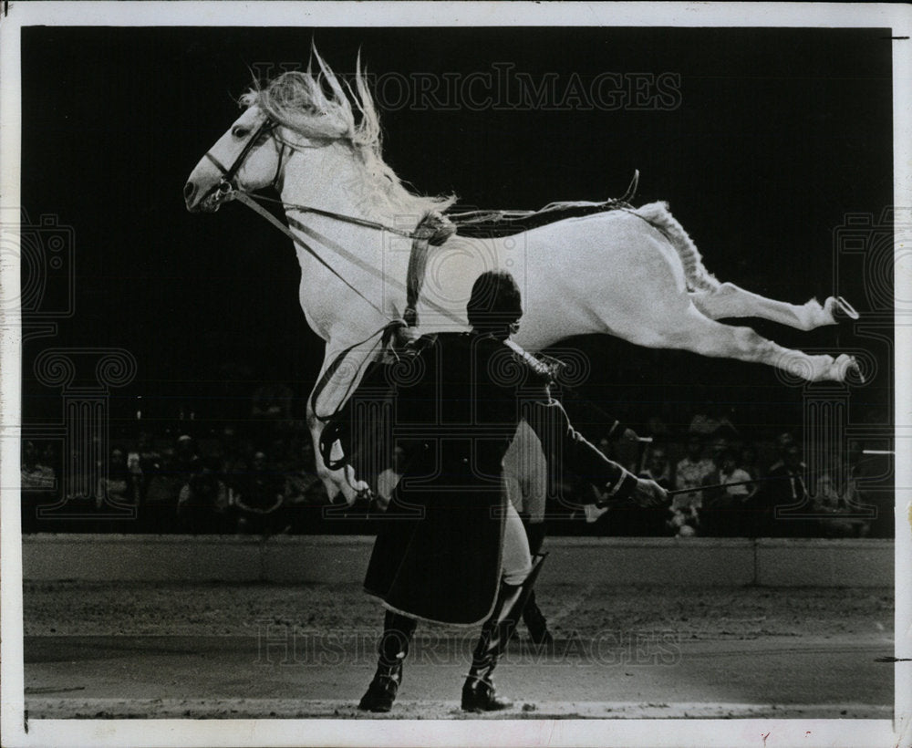 1980 Press Photo Lipizzan Bayfront Center Horse - Historic Images