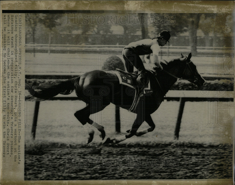 1974 Press Photo Racehorse Chris Evert Training NY - Historic Images