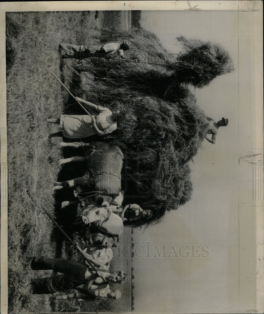 1945 Press Photo Wiesbaden Germany Family Farming Work - Historic Images