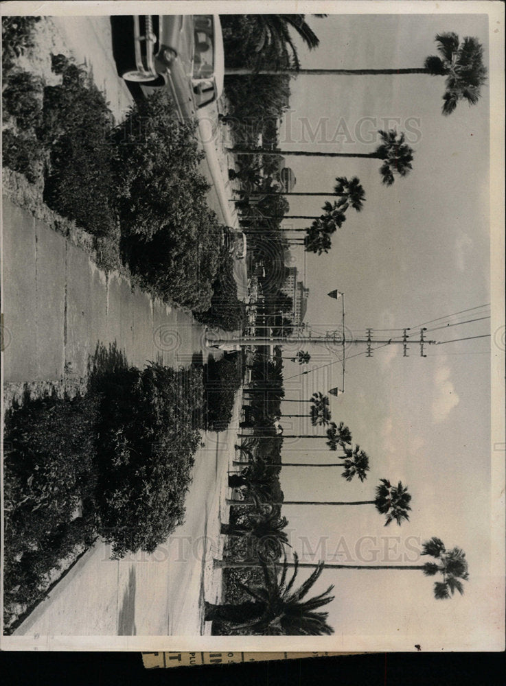 1959 Press Photo Clearwater Garden Causeway - Historic Images