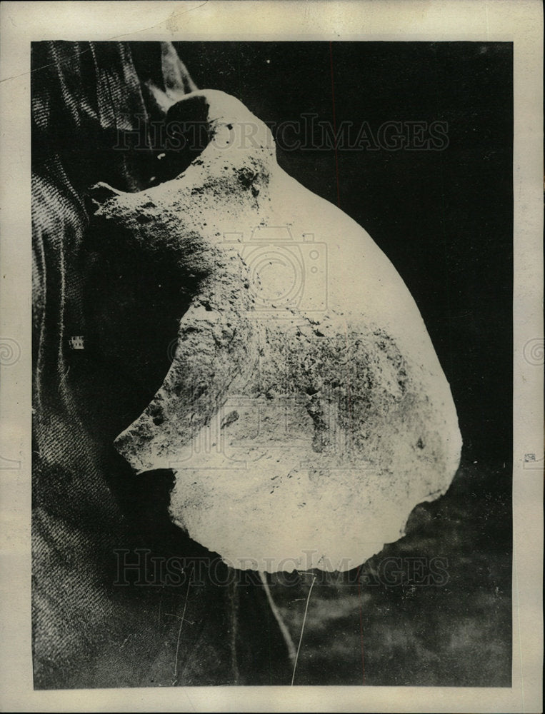 1925 Press Photo Plasticine Skull Discovery Tabatha - Historic Images