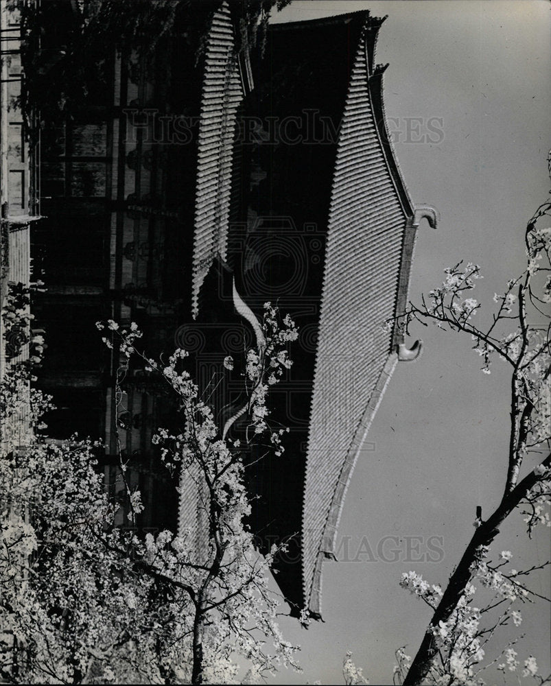 1965 Press Photo Todaiji Temple, Japan - Historic Images