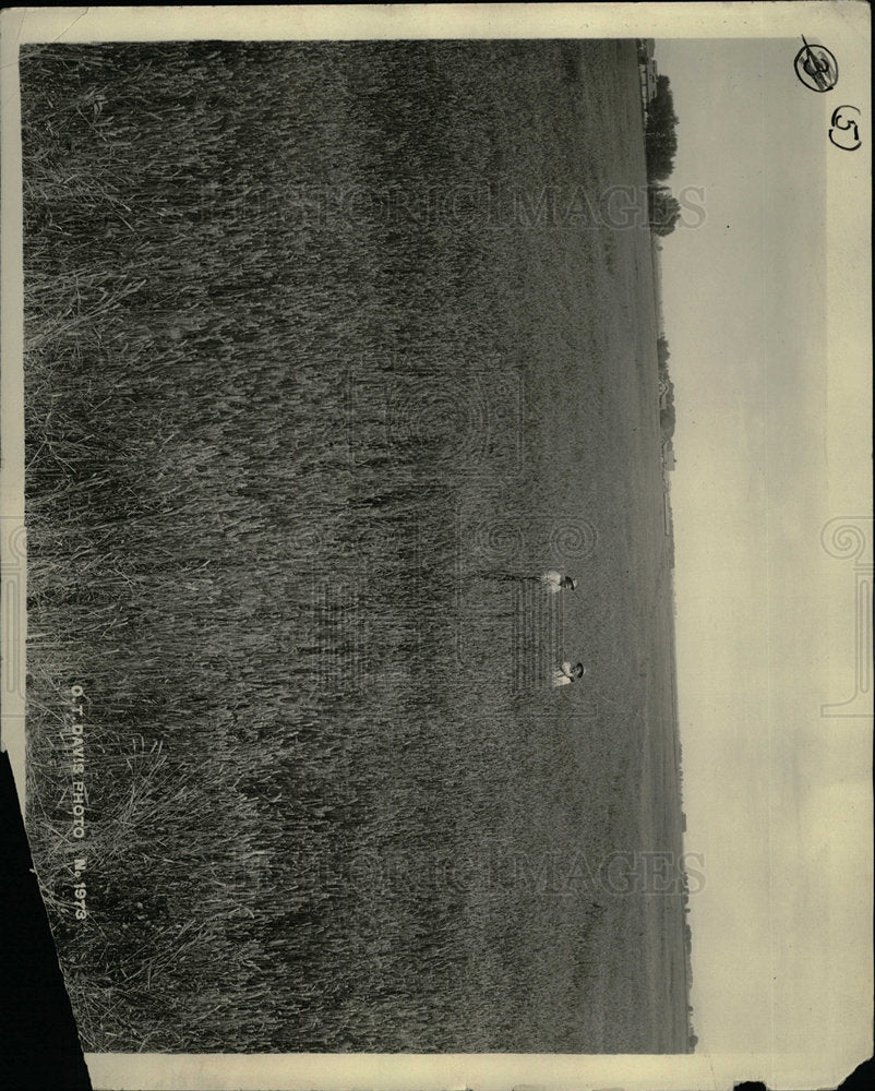 Press Photo Carmel Ranch In the San Luis Valley - Historic Images