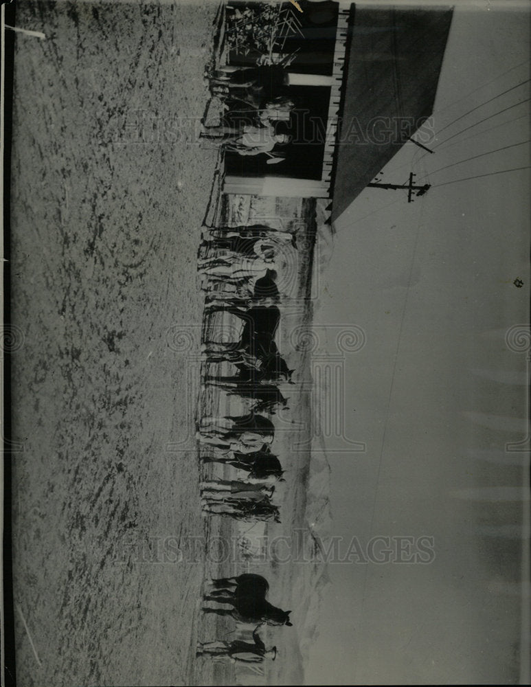 1929 Press Photo San Juan Basin Fields scene Horse Weak - Historic Images