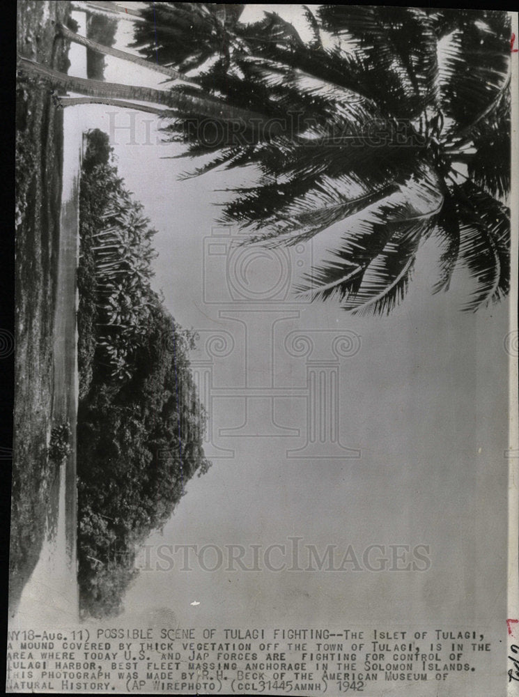 1942 Press Photo THE ISLET OF TULAGI  MOUND COVERED - Historic Images