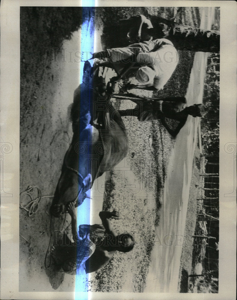 1931 Press Photo A Wayside Blacksmith - Historic Images