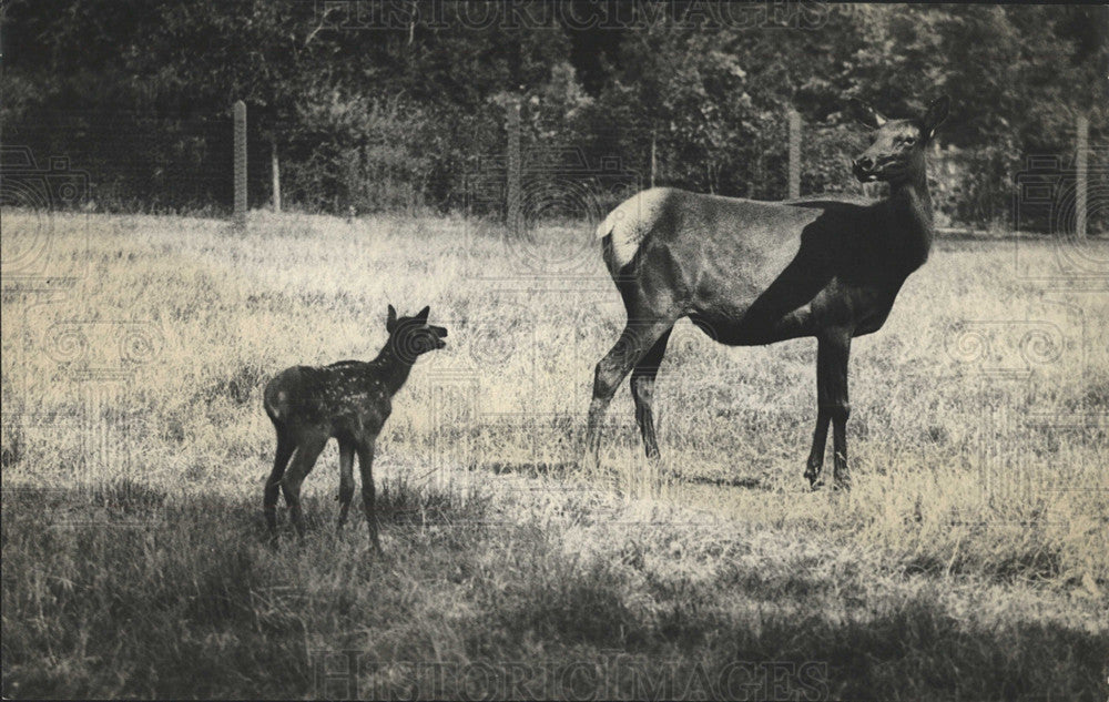 Press Photo Elk City Park Zoo - Historic Images