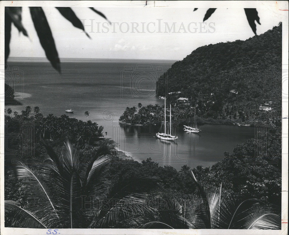 1979 Press Photo Marigot Bay St. Lucia Palms Caribbean - Historic Images