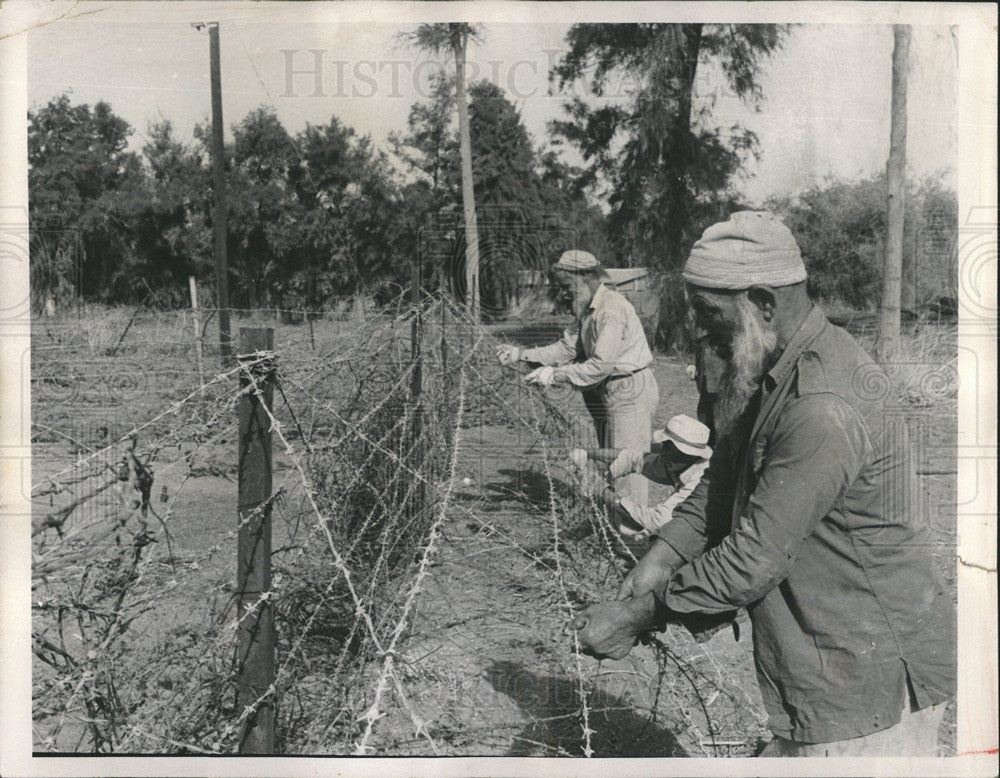 1968 Press Photo Israel Beisan Valley Kibbutz Tirat Zvi - Historic Images