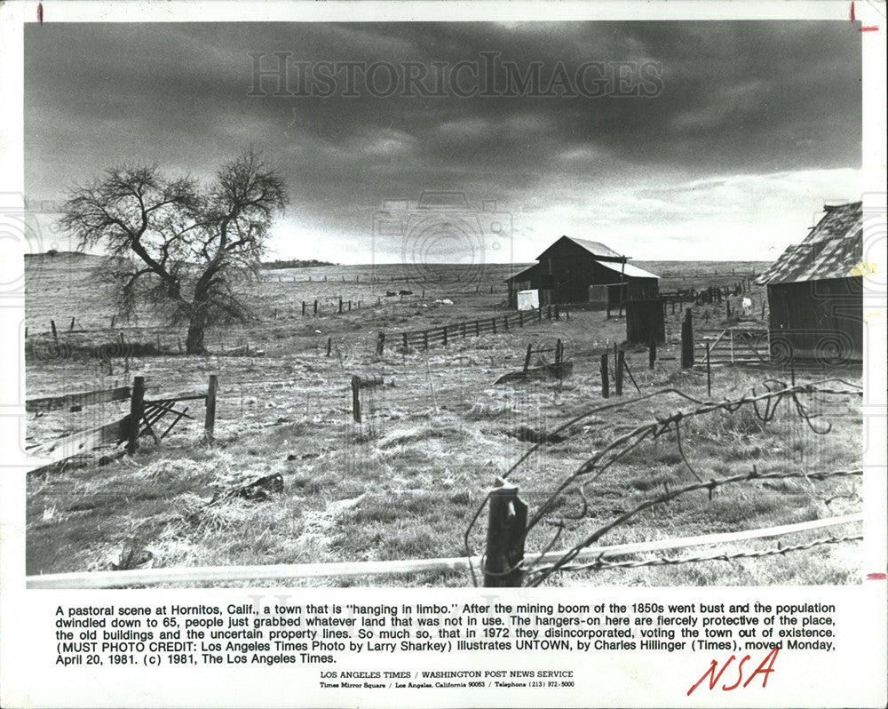 1981 Press Photo Social Conditions Hornitos California - Historic Images