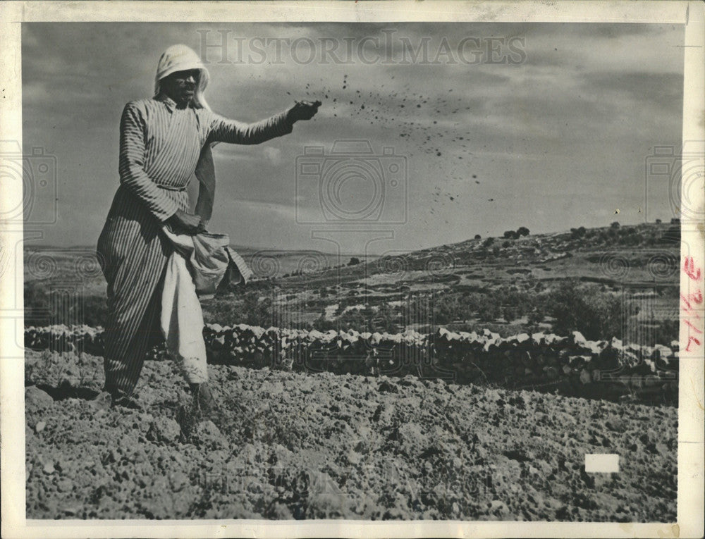 1955 Press Photo Sower Seed Christ Geographical Area - Historic Images