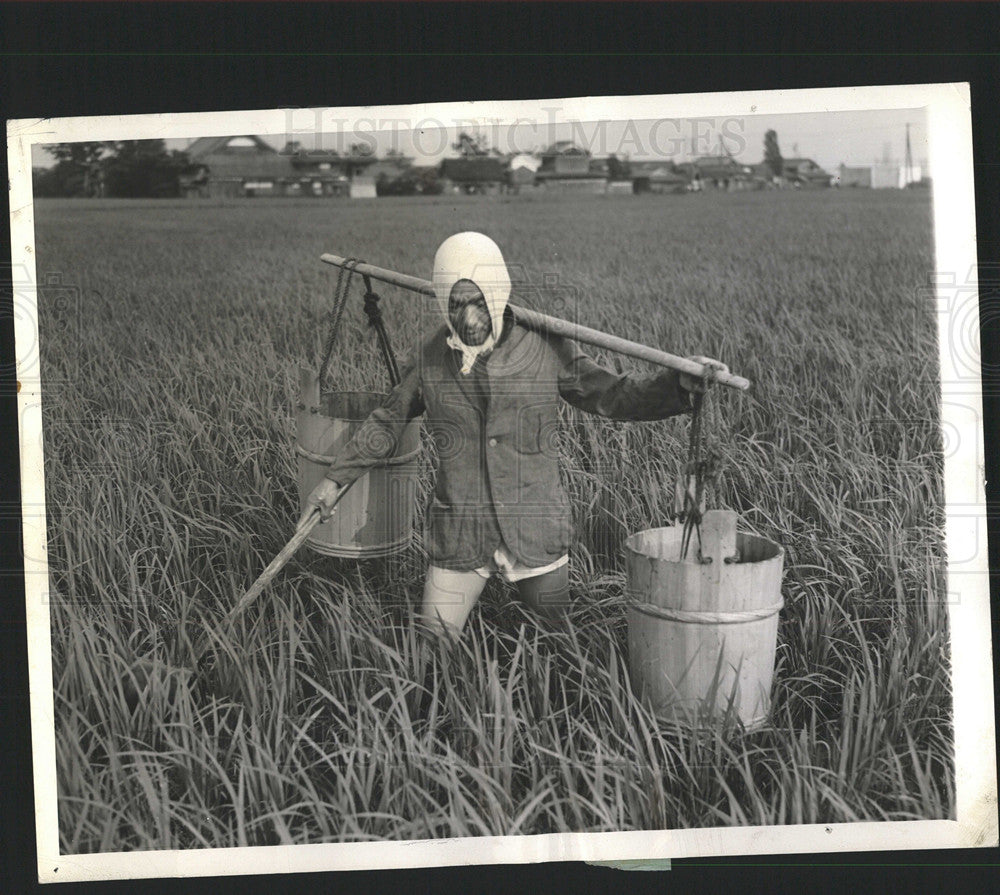 1942 Press Photo Japan Farmer Cultivator Rice Fish - Historic Images