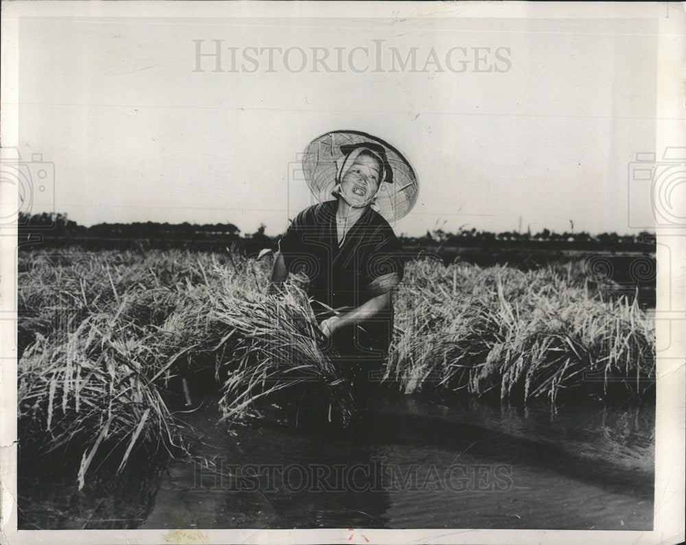 1948 Press Photo Rice Farming Irrigation Problem Nigata - Historic Images