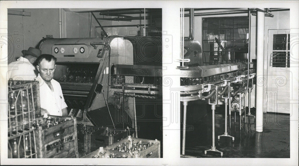 1948 Press Photo Dairy Farming Animal Husbandry Chicago - Historic Images