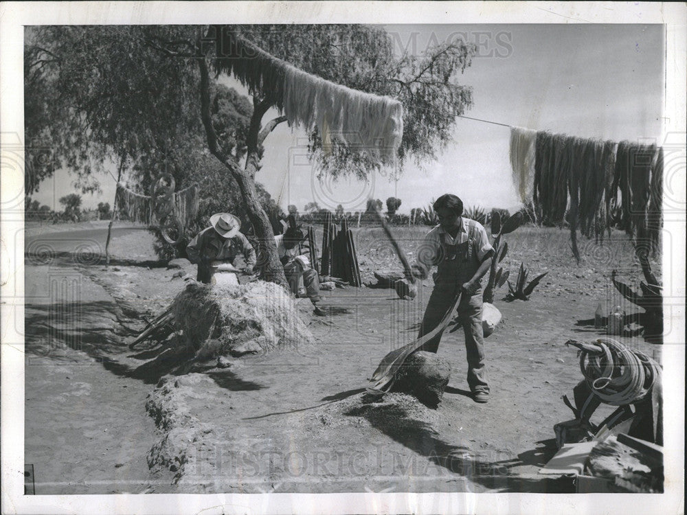 1955 Press Photo Mexico Country Side People Tourists - Historic Images