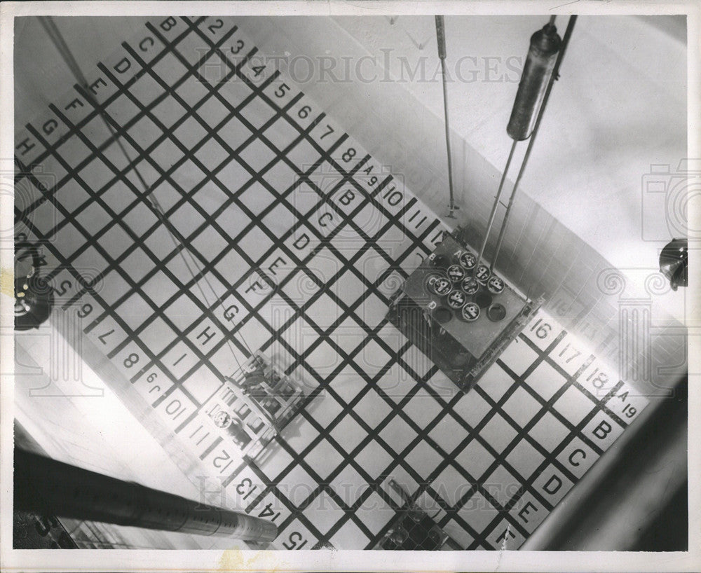 1955 Press Photo Argonne National Lab water Pool Food - Historic Images