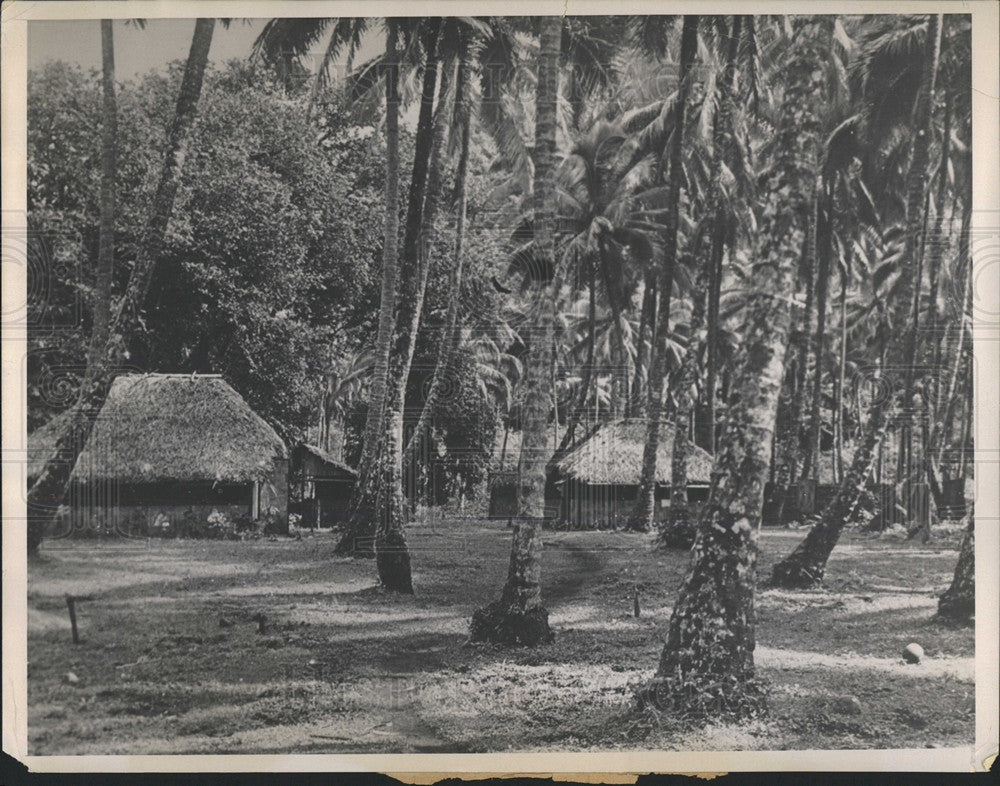 Press Photo Two Houses Around Tress - Historic Images