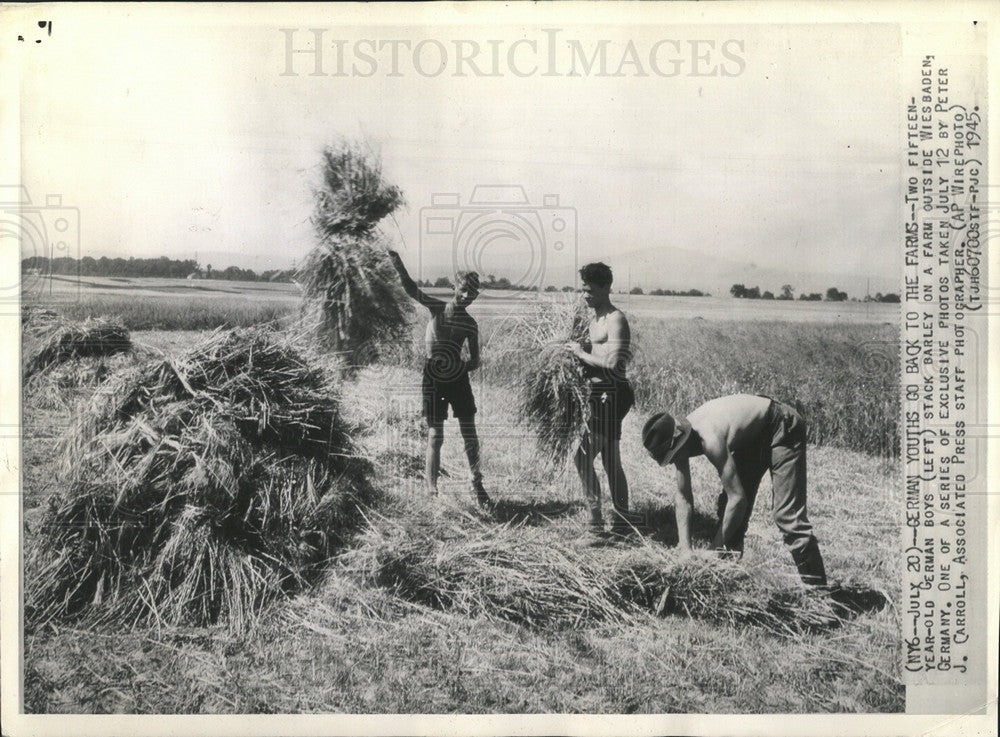 1945 Press Photo German boy stack Barley farm Wiesbaden - Historic Images