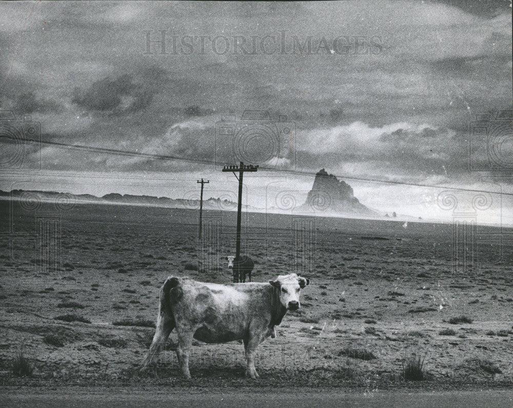 1981 Press Photo Kil MIniclier Navajo livestock Mexico - Historic Images