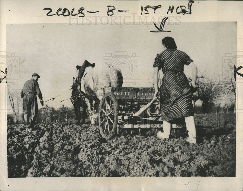 1941 Press Photo Woman farm couple taking sowing winter - Historic Images