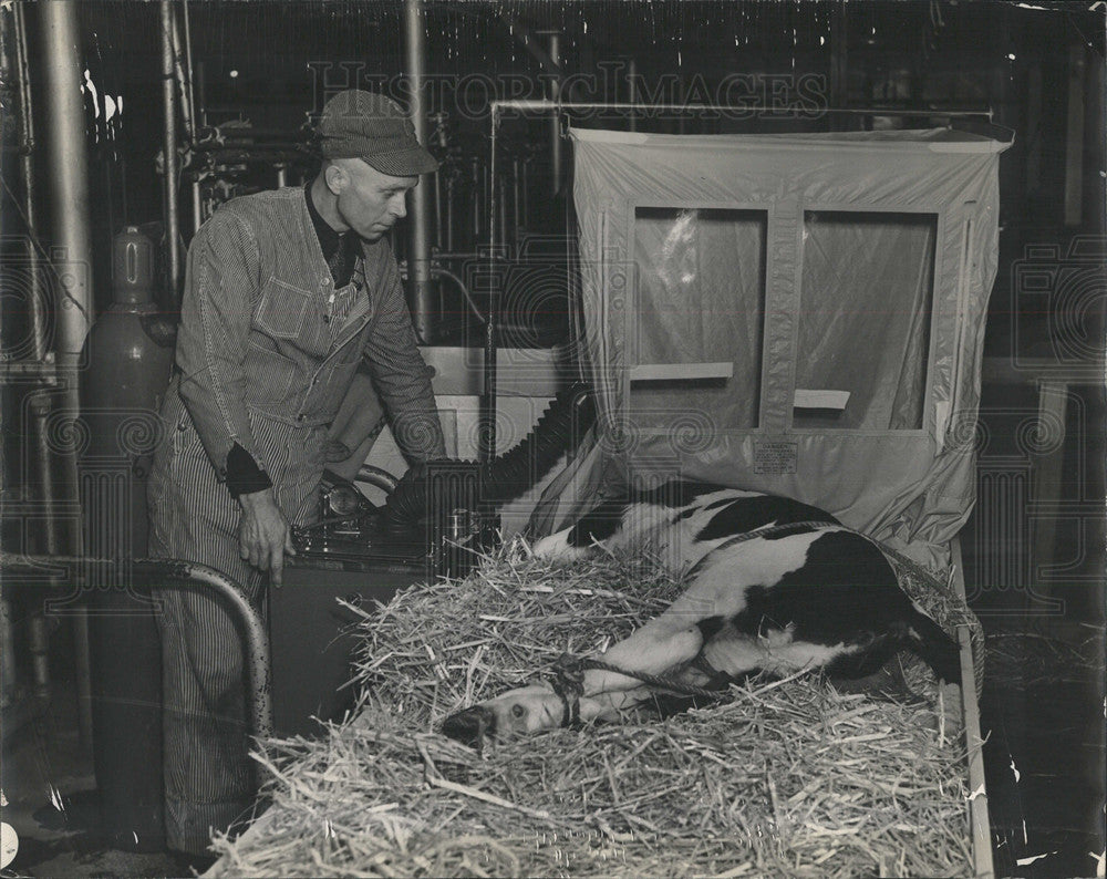 1938 Press Photo Dairy Superintendent Charles Manners - Historic Images