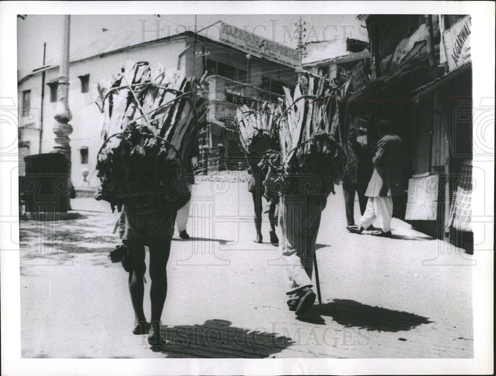 Press Photo  Mussooria wood carriers Himalayas - Historic Images