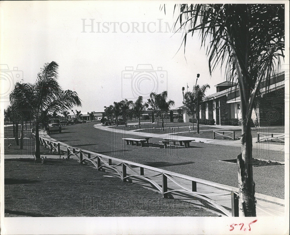 1961 Press Photo palms sidewalks curbs Town Hall Aris - Historic Images