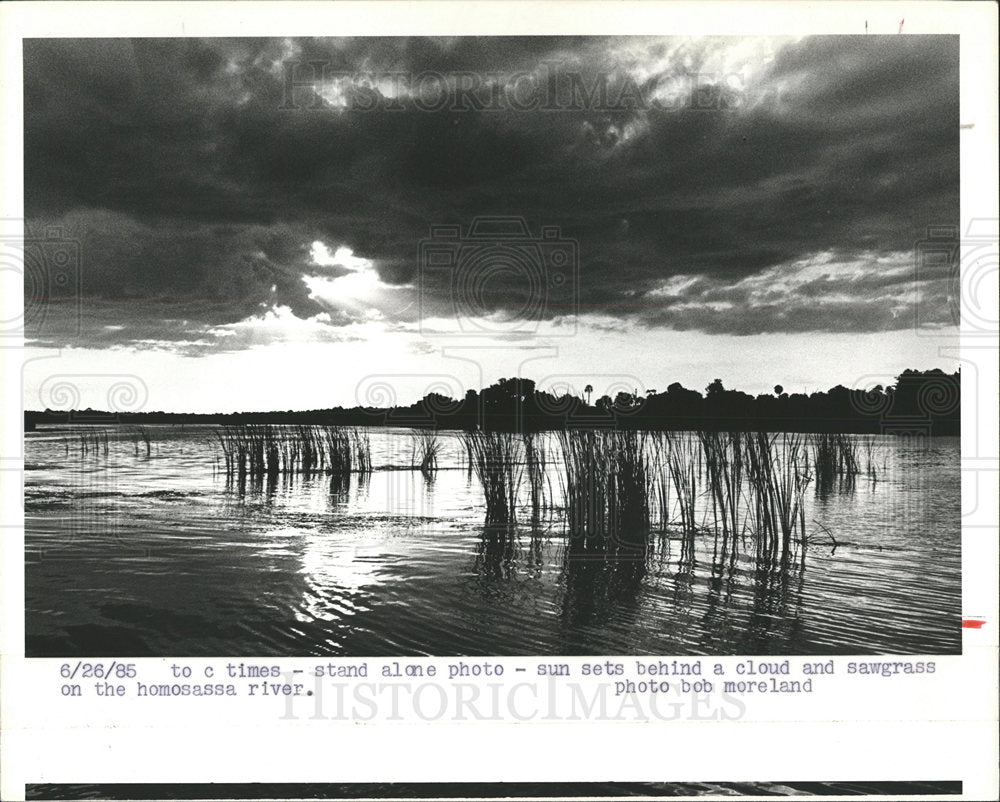 1985 Press Photo Saw grass sunset Homosassa River cloud - Historic Images