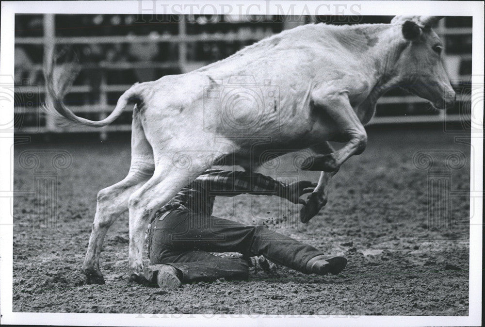 1982 Press Photo Bull Gets Upper Hand on Rider - Historic Images