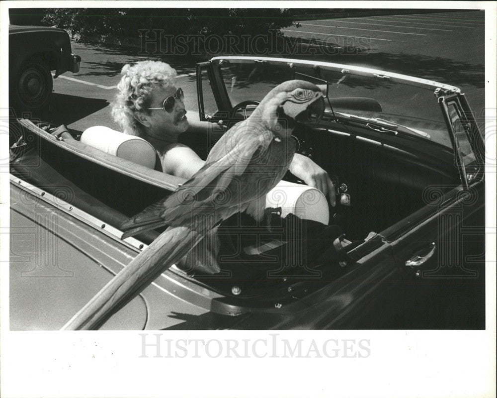 1935 Press Photo Macaw Birds - Historic Images