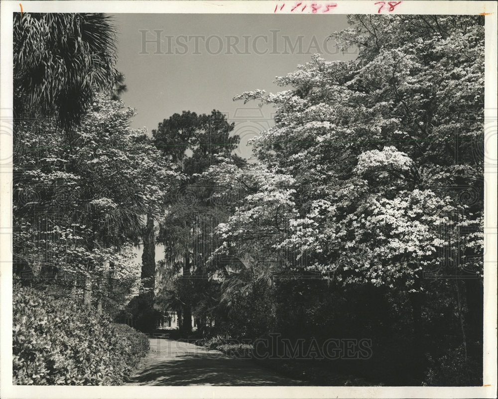 1967 Press Photo Maclay Gardens State Park Landscape - Historic Images