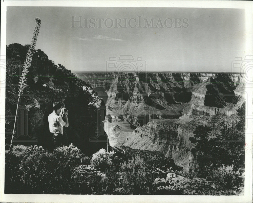 1966 Press Photo Great View of the Grand Canyon - Historic Images