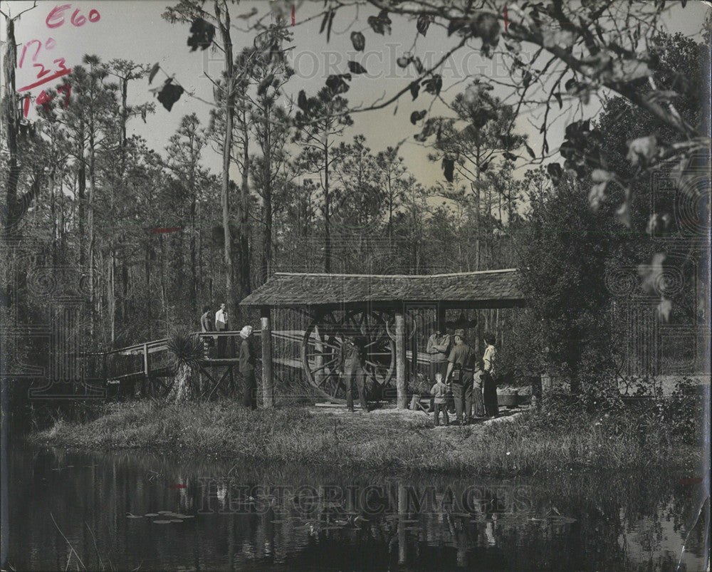 1972 Press Photo Okefenokee Swamp Cow House Island Boy - Historic Images