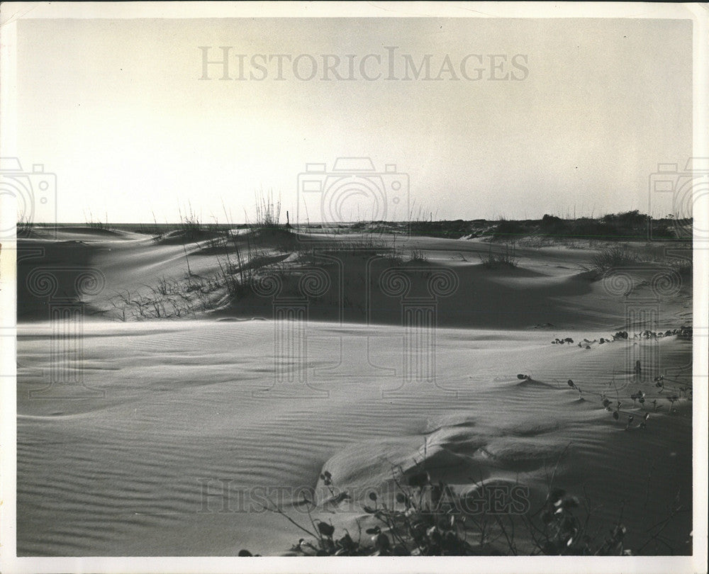 Press Photo Andrews State Park Panama City Day Dunes - Historic Images