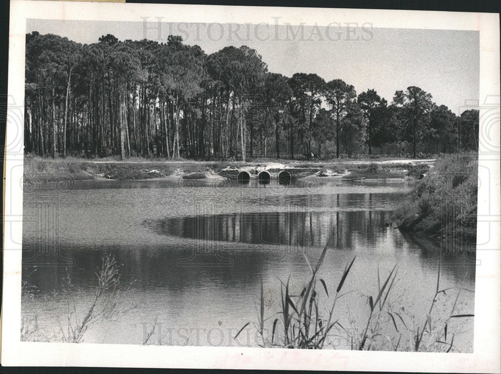 1972 Press Photo Lake Seminole Bypass Canal - Historic Images