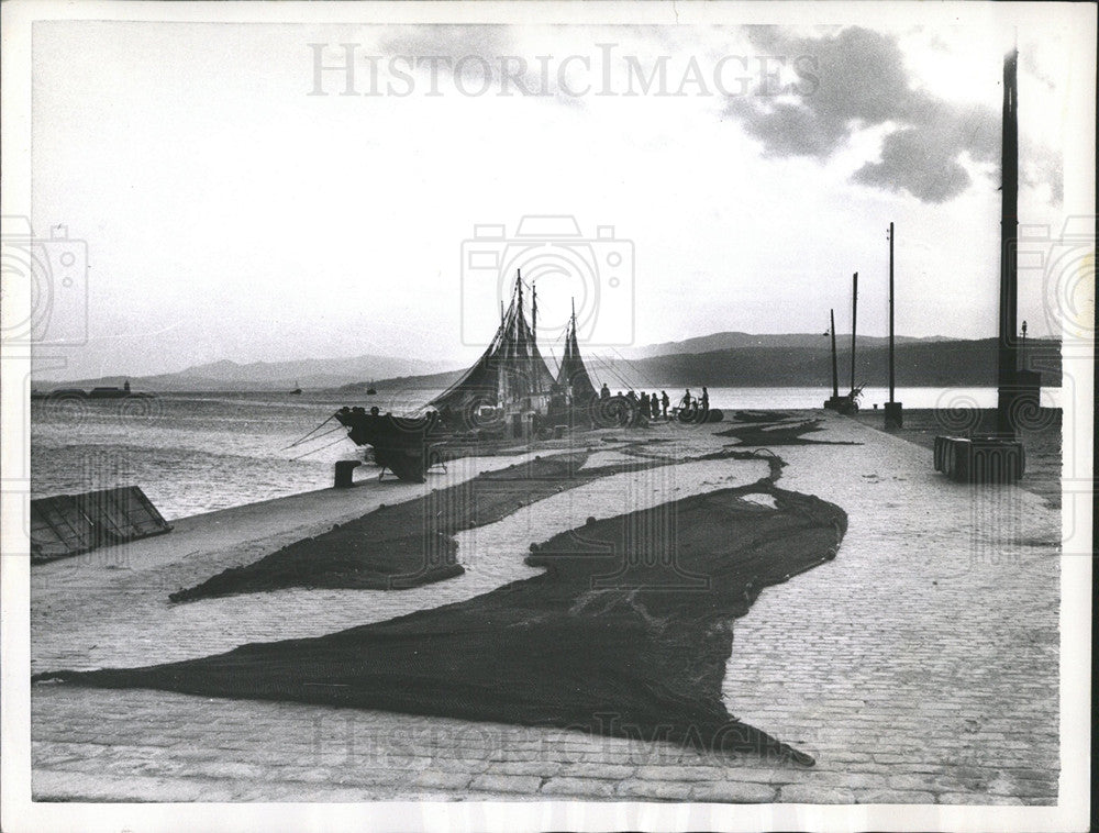 1957 Press Photo Dry Spell Palominos Spain Port Fish - Historic Images