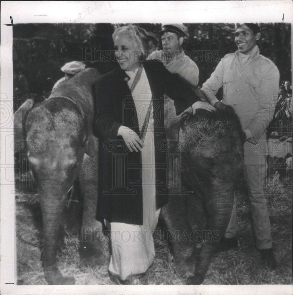 1950 Press Photo Madame Vijaya Pandit Gifts Elephants - Historic Images