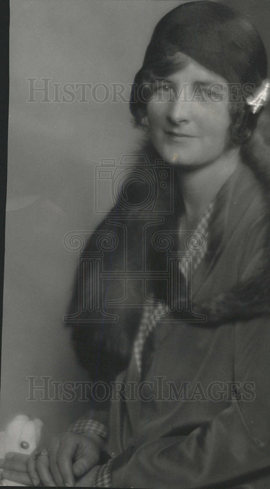 1929 Press Photo PORTRAIT MRS. SETH W. RICHARDSON - Historic Images