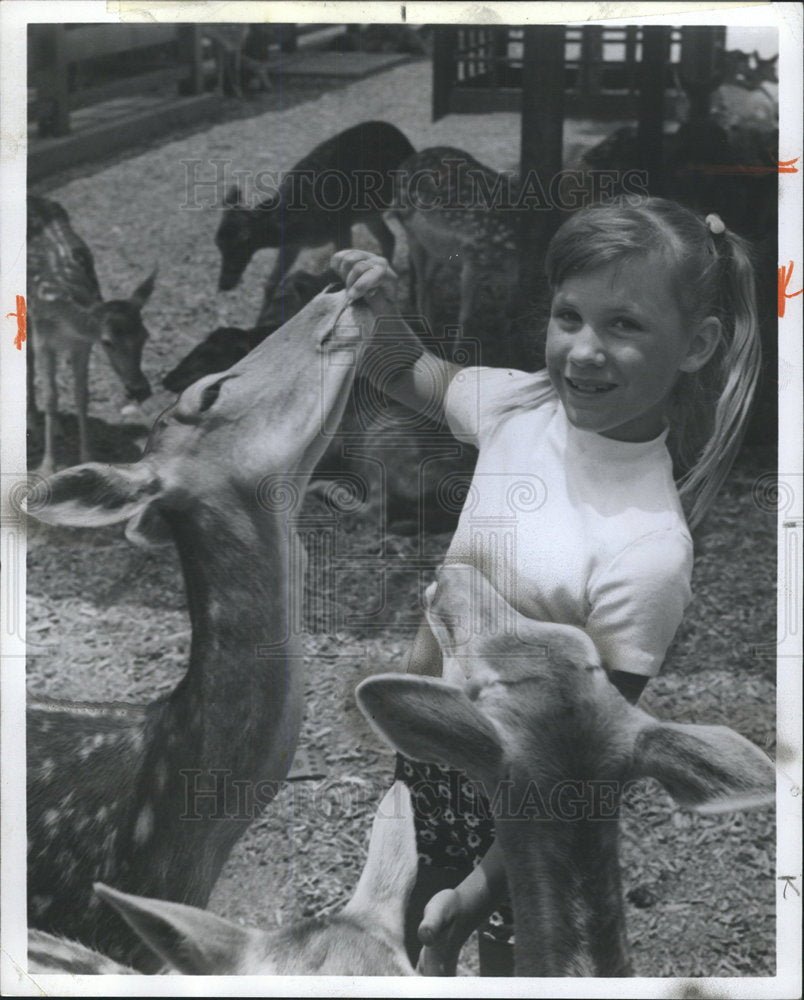 1970 Press Photo Village Deer Park Sika Deer Japan - Historic Images