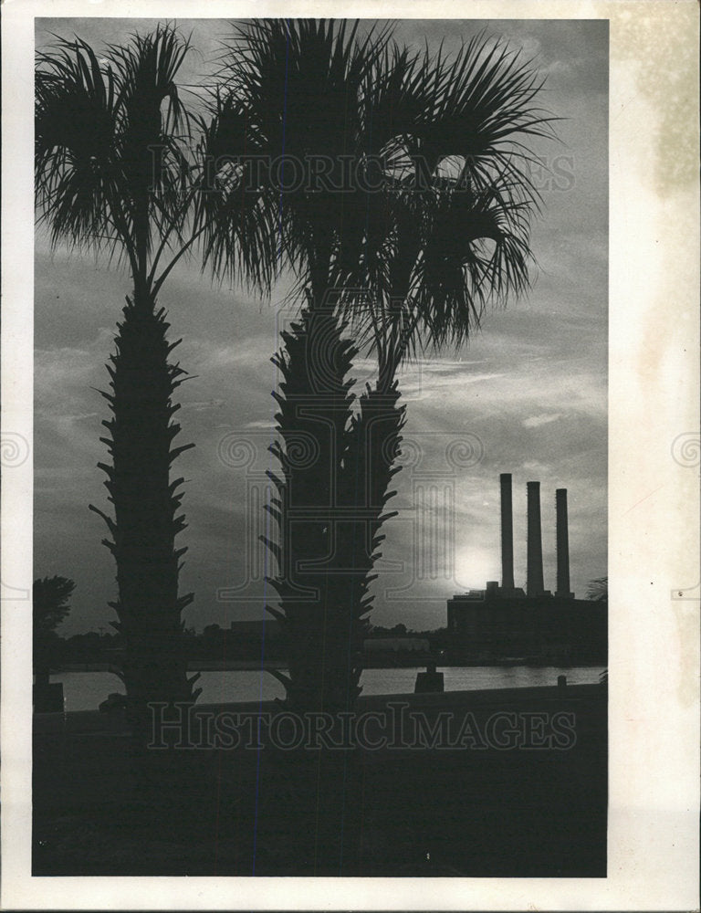 Press Photo On City Waterfalls Tampa Bay Florida - Historic Images