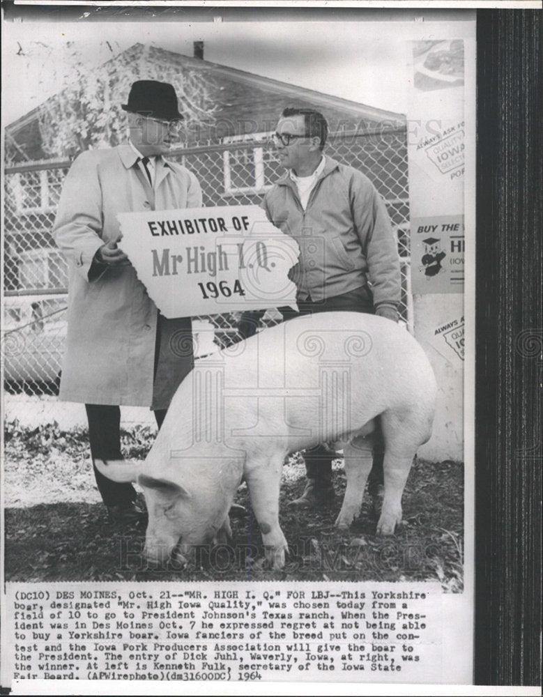 Press Photo Mr.High Iowa Quality Yorkshire Boar Iowa - Historic Images